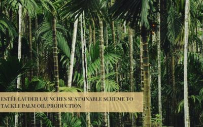 雅詩蘭黛等美容巨頭推可持續發展計劃解決棕櫚油問題