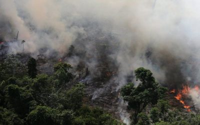 亞馬遜雨林濃煙滾滾 BBC為你解答10個問題