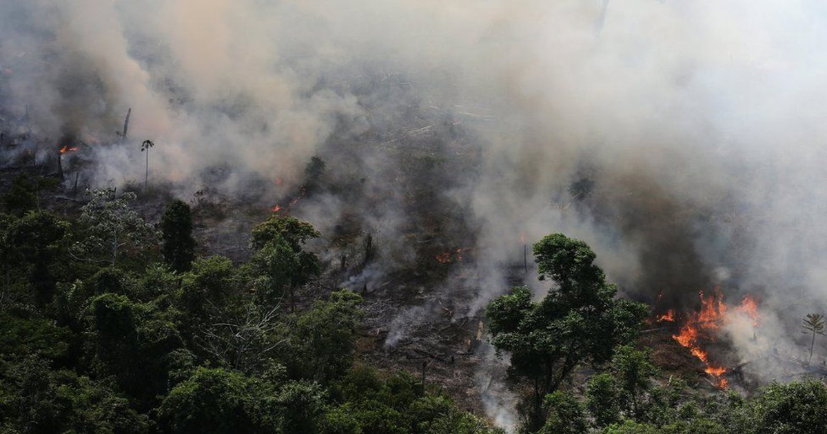 亞馬遜雨林濃煙滾滾 BBC為你解答10個問題